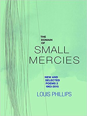 cover image of The Domain of Small Mercies
